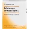 ECHINACEA COMPOSITUM SN Fiale, 10 pz