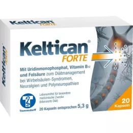 KELTICAN capsule forte, 20 pz