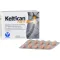 KELTICAN capsule forte, 20 pz