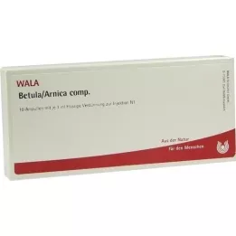 BETULA/ARNICA comp. fiale, 10X1 ml