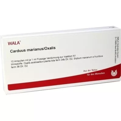 CARDUUS MARIANUS/OXALIS Fiale, 10X1 ml CARDUUS MARIANUS/OXALIS Fiale, 10X1 ml