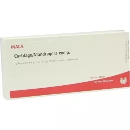 CARTILAGO/Mandragora comp. Fiale, 10X1 ml