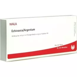 ECHINACEA/ARGENTUM Fiale, 10X1 ml