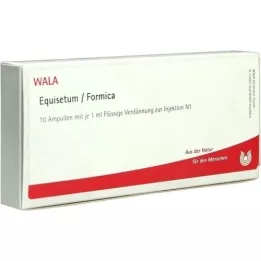 EQUISETUM/FORMICA Fiale, 10X1 ml