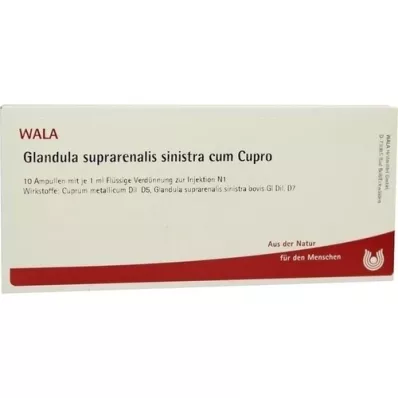 GLANDULA SUPRARENALIS fiale sinistra cum Cupro, 10X1 ml GLANDULA SUPRARENALIS fiale sinistra cum Cupro, 10X1 ml