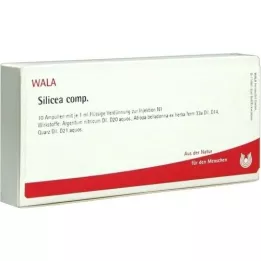 SILICEA COMP.Fiale, 10X1 ml
