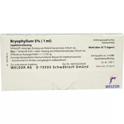 BRYOPHYLLUM Soluzione iniettabile al 5% 1 ml, 8X1 ml BRYOPHYLLUM Soluzione iniettabile al 5% 1 ml, 8X1 ml