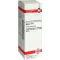 ARNICA Diluizione D 4, 20 ml