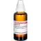 BERBERIS Diluizione D 4, 50 ml
