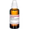 BERBERIS D 6 Diluizione, 50 ml