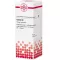 CACTUS Diluizione D2, 20 ml