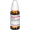CACTUS Diluizione D2, 20 ml
