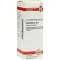 CHELIDONIUM D 6 Diluizione, 20 ml