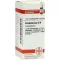 CHELIDONIUM D 6 globuli, 10 g