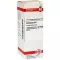 COLCHICUM D 6 Diluizione, 20 ml