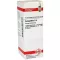 COLOCYNTHIS Diluizione D 4, 20 ml