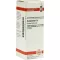 HAMAMELIS Diluizione D2, 20 ml