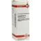 LYCOPODIUM Diluizione D 4, 20 ml