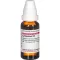 LYCOPODIUM D 6 Diluizione, 20 ml