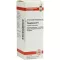 PHOSPHORUS D 6 Diluizione, 20 ml