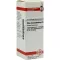 RHUS TOXICODENDRON D 6 Diluizione, 20 ml