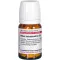 RHUS TOXICODENDRON D 6 compresse, 80 pz