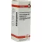 SECALE CORNUTUM D 6 Diluizione, 20 ml