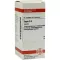 SEPIA D 4 compresse, 80 pz