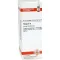 THUJA Diluizione D 4, 20 ml