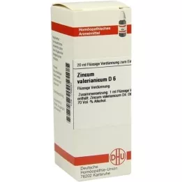 ZINCUM VALERIANICUM D 6 Diluizione, 20 ml