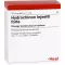 HYDROCHINON Fiale Injeel forte, 10 pz