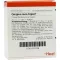 GINGIVA SUIS Fiale Injeel, 10 pezzi