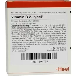 VITAMIN B2 INJEEL Fiale, 10 pz