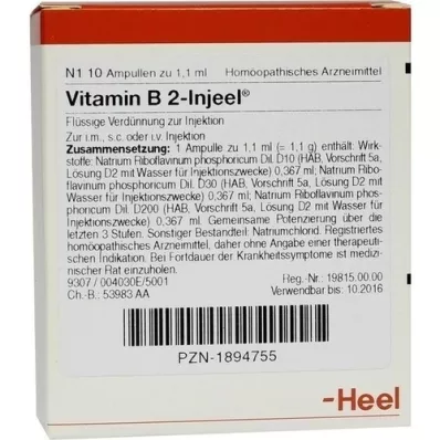 VITAMIN B2 INJEEL Fiale, 10 pz VITAMIN B2 INJEEL Fiale, 10 pz