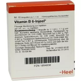 VITAMIN B6 INJEEL Fiale, 10 pz