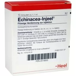 ECHINACEA INJEEL Fiale, 10 pz