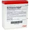ECHINACEA INJEEL Fiale, 10 pz