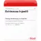 ECHINACEA INJEEL Fiale, 10 pz