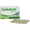 SOLEDUM Capsule gastroresistenti da 100 mg, 50 pz