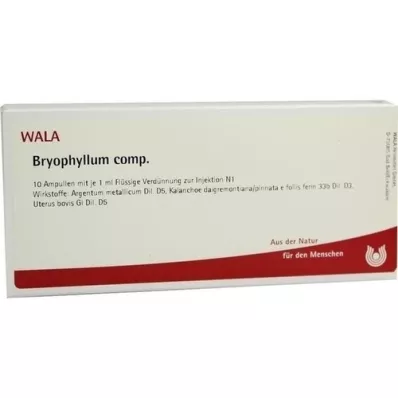 BRYOPHYLLUM COMP.Fiale, 10X1 ml BRYOPHYLLUM COMP.Fiale, 10X1 ml