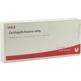 CARTILAGO/Echinacea comp. Fiale, 10X1 ml