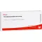PERIODONTIUM/STANNUM comp. fiale, 10X1 ml
