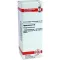HYPERICUM D 6 Diluizione, 20 ml