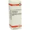 PHYTOLACCA D 6 Diluizione, 20 ml