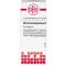RHUS TOXICODENDRON D 30 globuli, 10 g