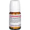 RHUS TOXICODENDRON D 30 compresse, 80 pz