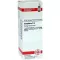 CAMPHORA Diluizione D 4, 20 ml