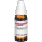 CAMPHORA Diluizione D 4, 20 ml