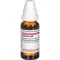 CAMPHORA D 6 Diluizione, 20 ml