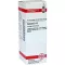 CONIUM Diluizione D 12, 20 ml